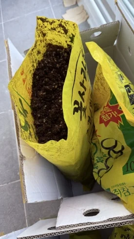 IMG%EF%BC%BF5367.jpg?type=w275