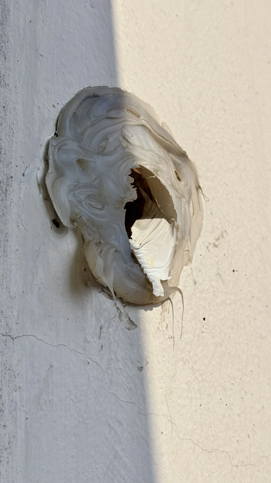 IMG%EF%BC%BF5226.jpg?type=w1