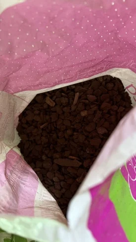 IMG%EF%BC%BF5368.jpg?type=w275