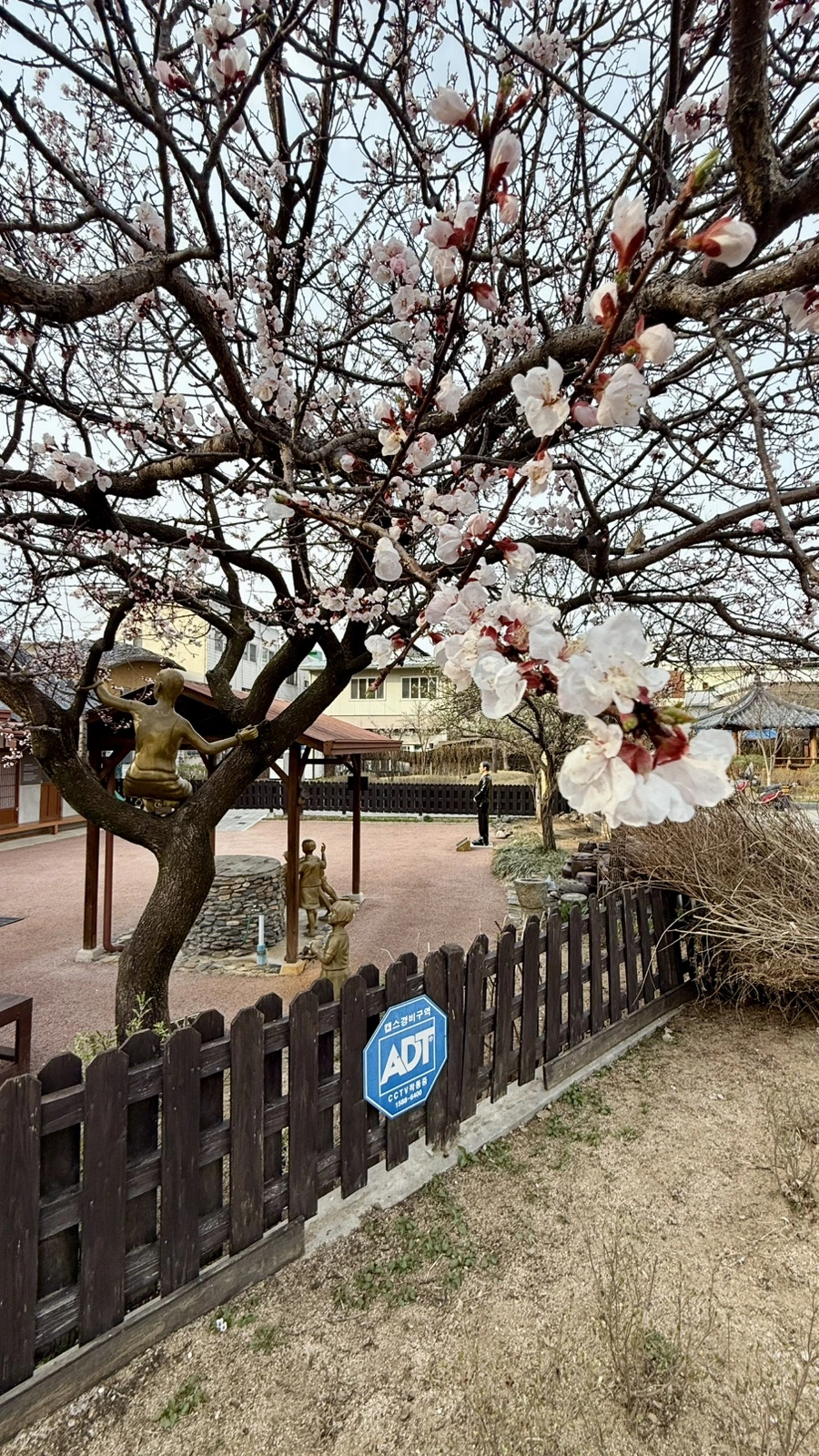 IMG_4604.jpg?type=w1