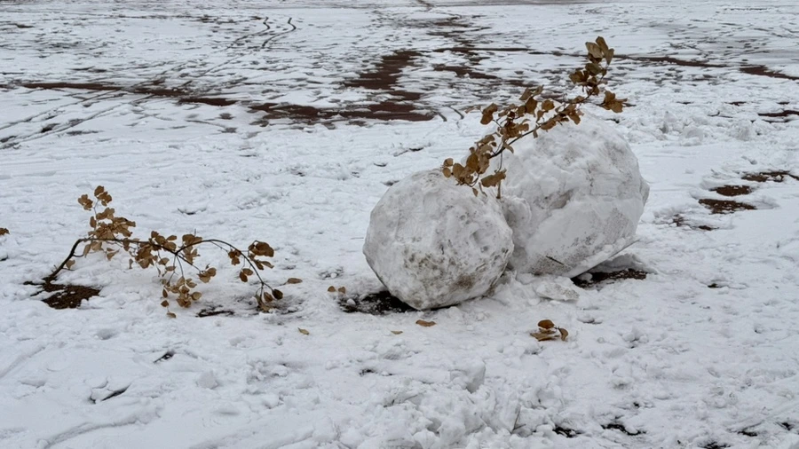 IMG_4226.jpg?type=w1