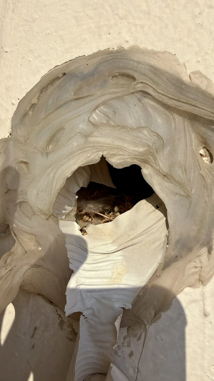 IMG%EF%BC%BF5224.jpg?type=w1