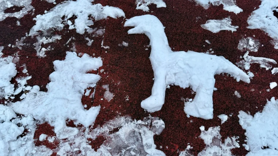 SE-E676D5D7-4710-4D87-B0C9-5EE8FCB2E010.jpg?type=w1