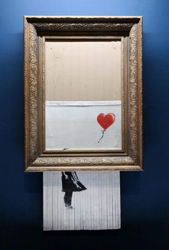 ?src=http%3A%2F%2Fimgnews.naver.net%2Fimage%2F011%2F2023%2F08%2F31%2F0004232525_004_20230831184201151.jpg&type=sc960_832