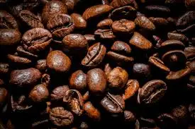 images?q=tbn:ANd9GcQzcVkjOpfESK8ybMR5DYcOa4FtGMKBB8uixg&s