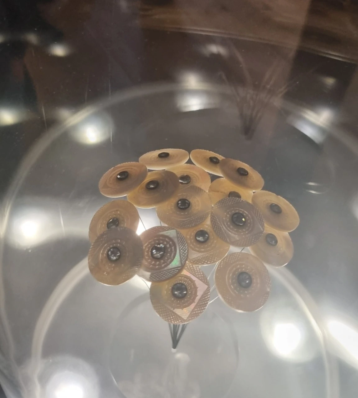 GMrHjPLWoAAeXbo?format=jpg&name=large