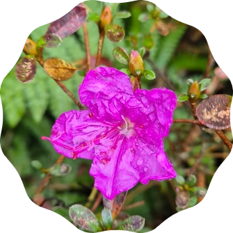 SE-f8cc37e4-a7e4-11ef-9508-13faaffba445.png?type=w1