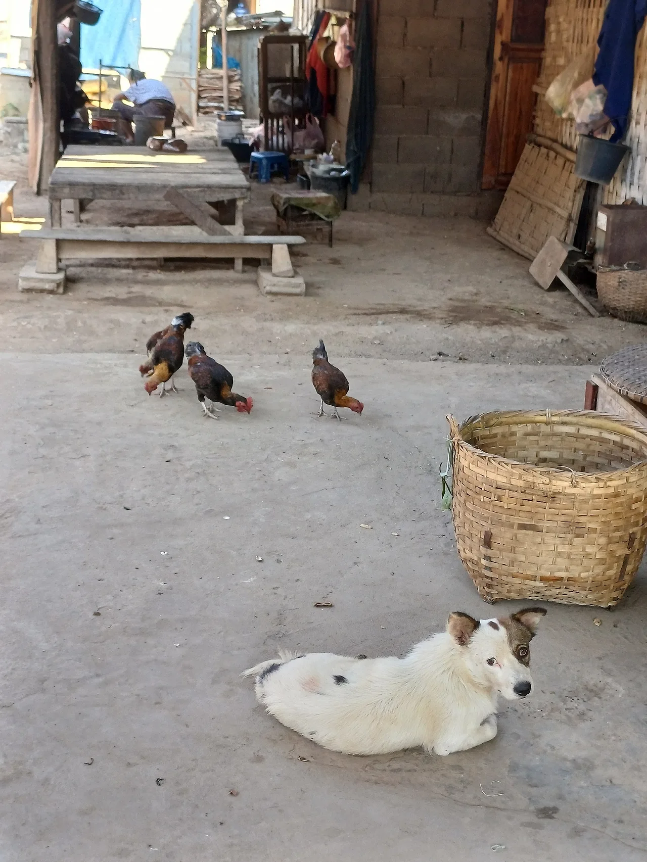 20241226_143427.jpg?type=w1600