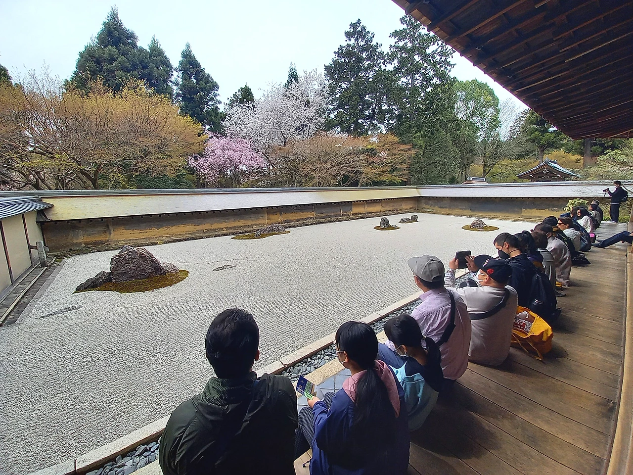 20230331_104123.jpg?type=w1600