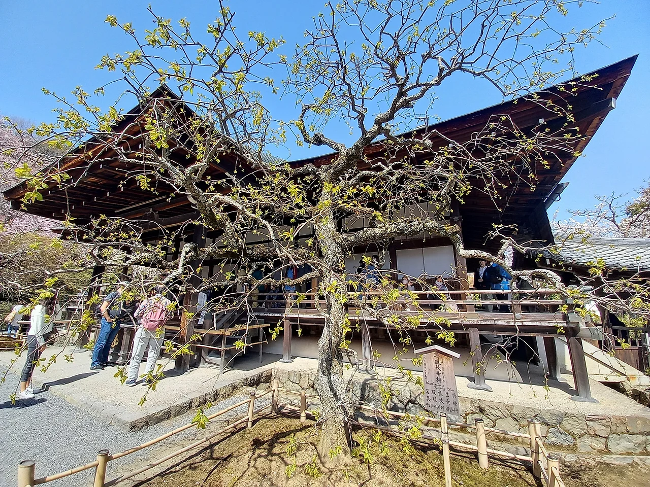 20230329_110718.jpg?type=w1600