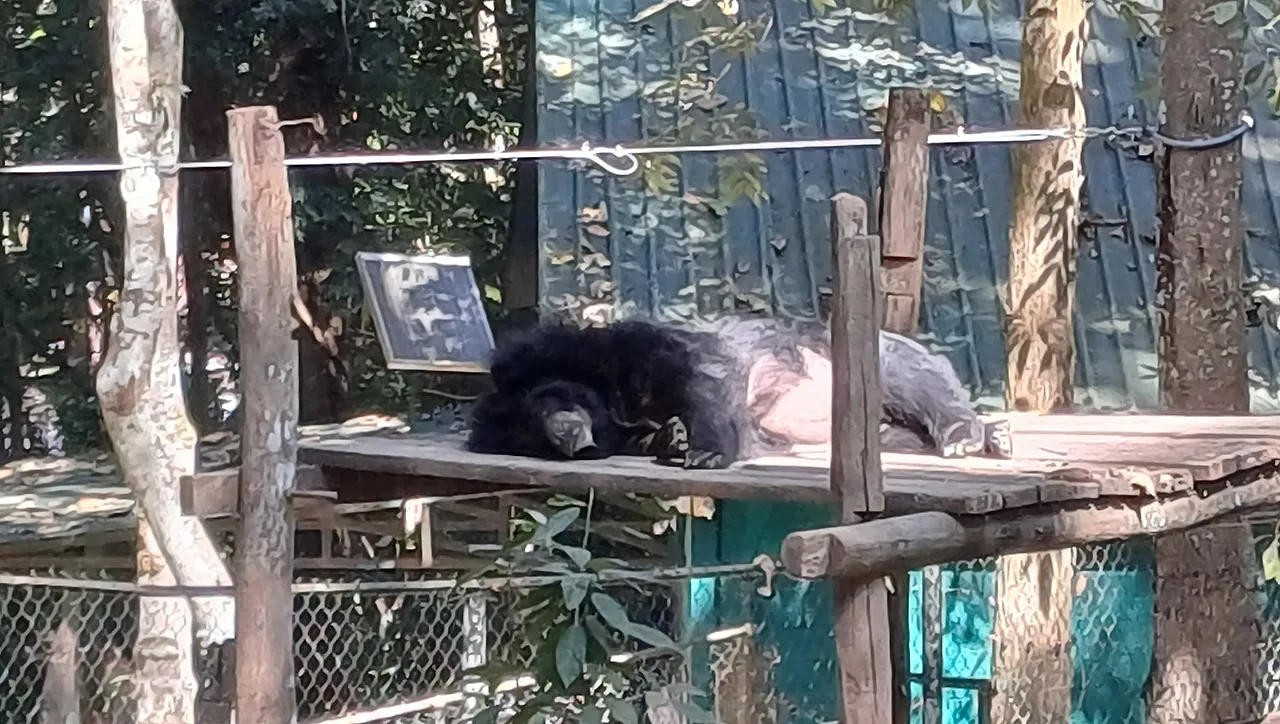 SE-865ac2e0-222d-47b0-b9ab-0815c6dc9848.jpg?type=w1600