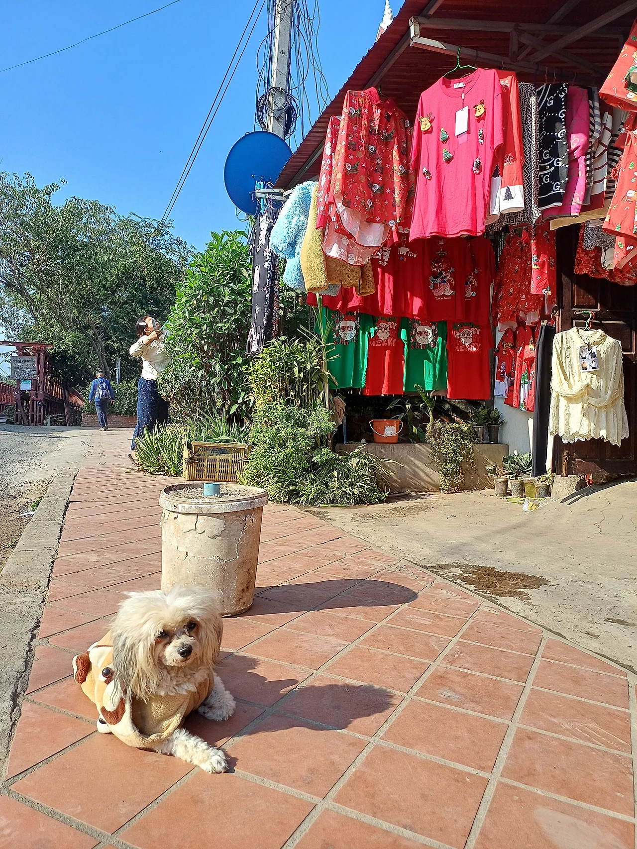 20241224_093455.jpg?type=w1600