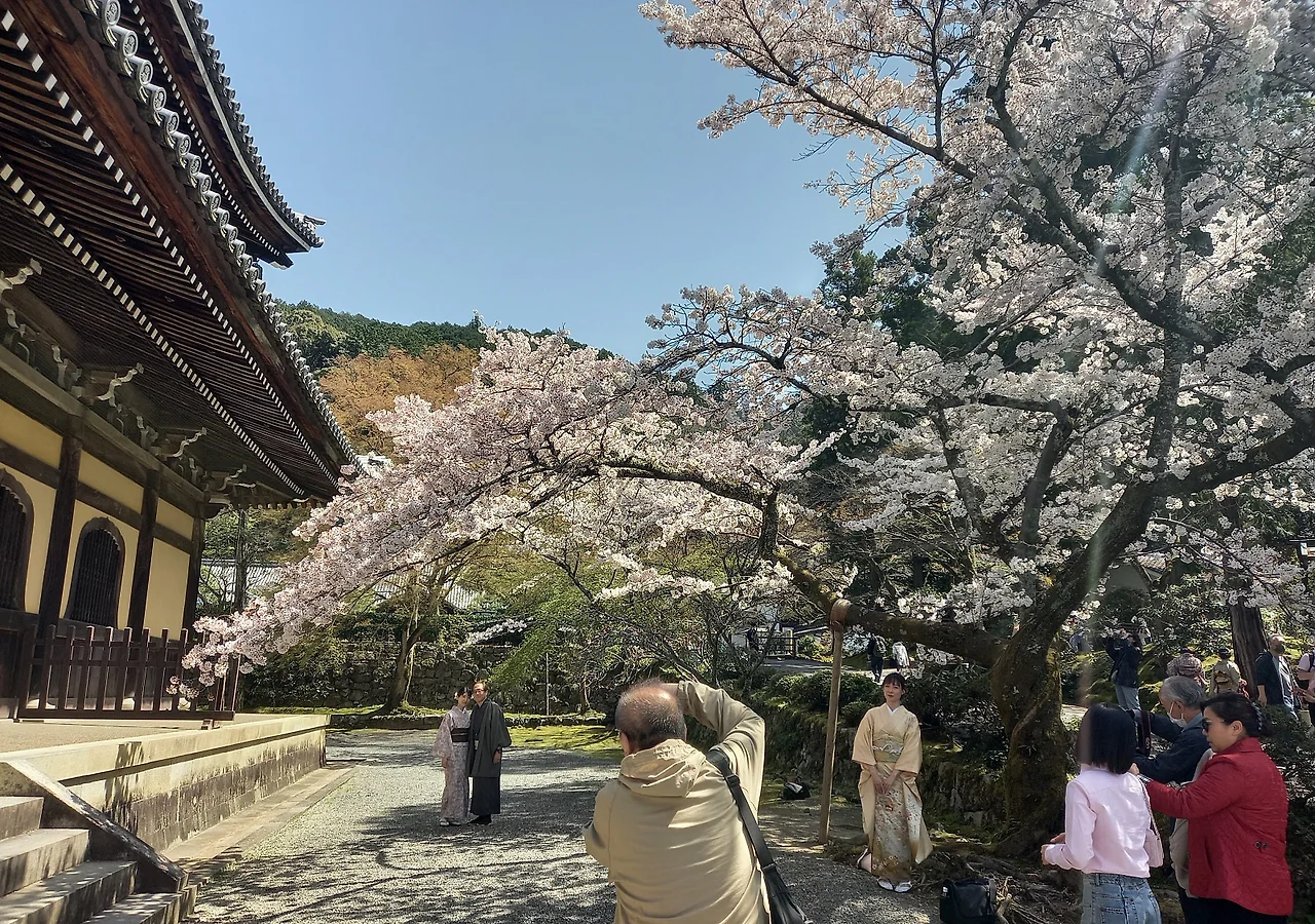 20230328_115031.jpg?type=w1600