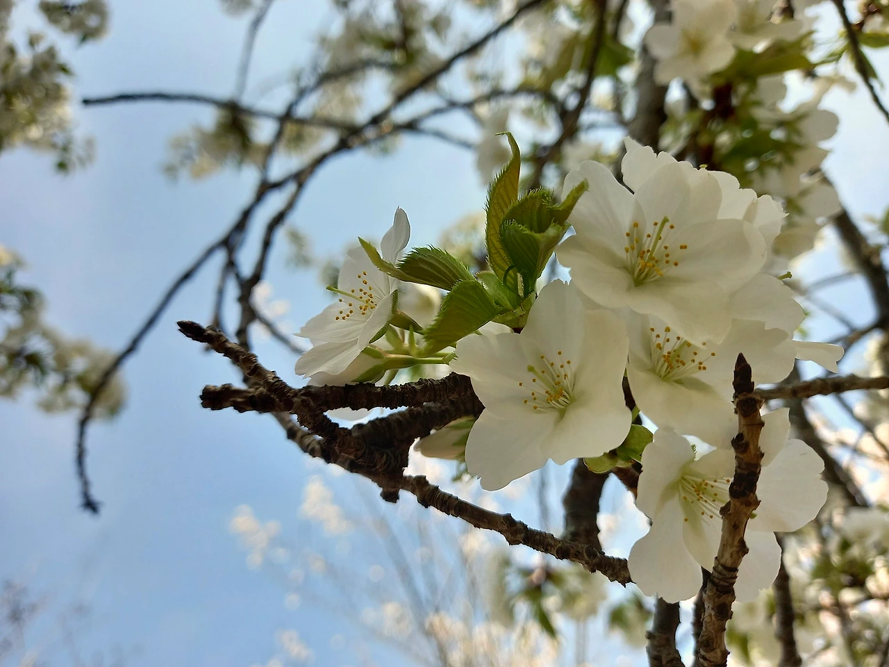 20230330_124511.jpg?type=w1600