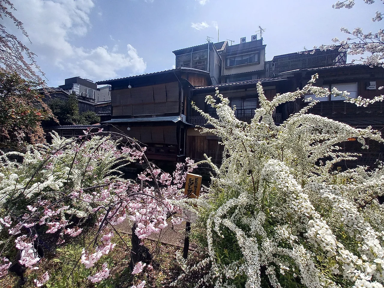 20230327_121053.jpg?type=w1600