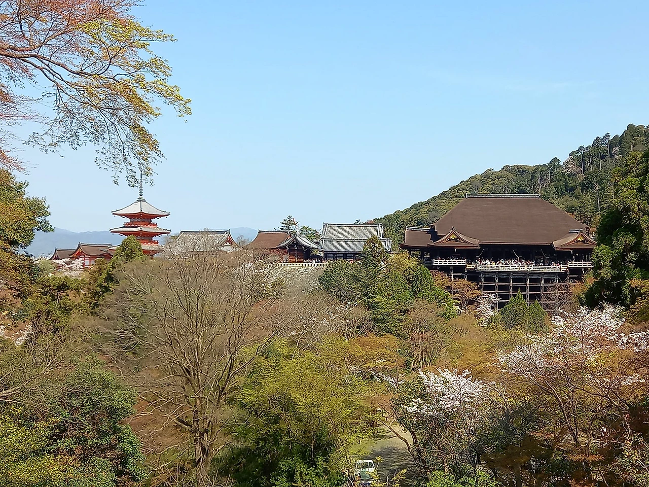 20230330_101109.jpg?type=w1600