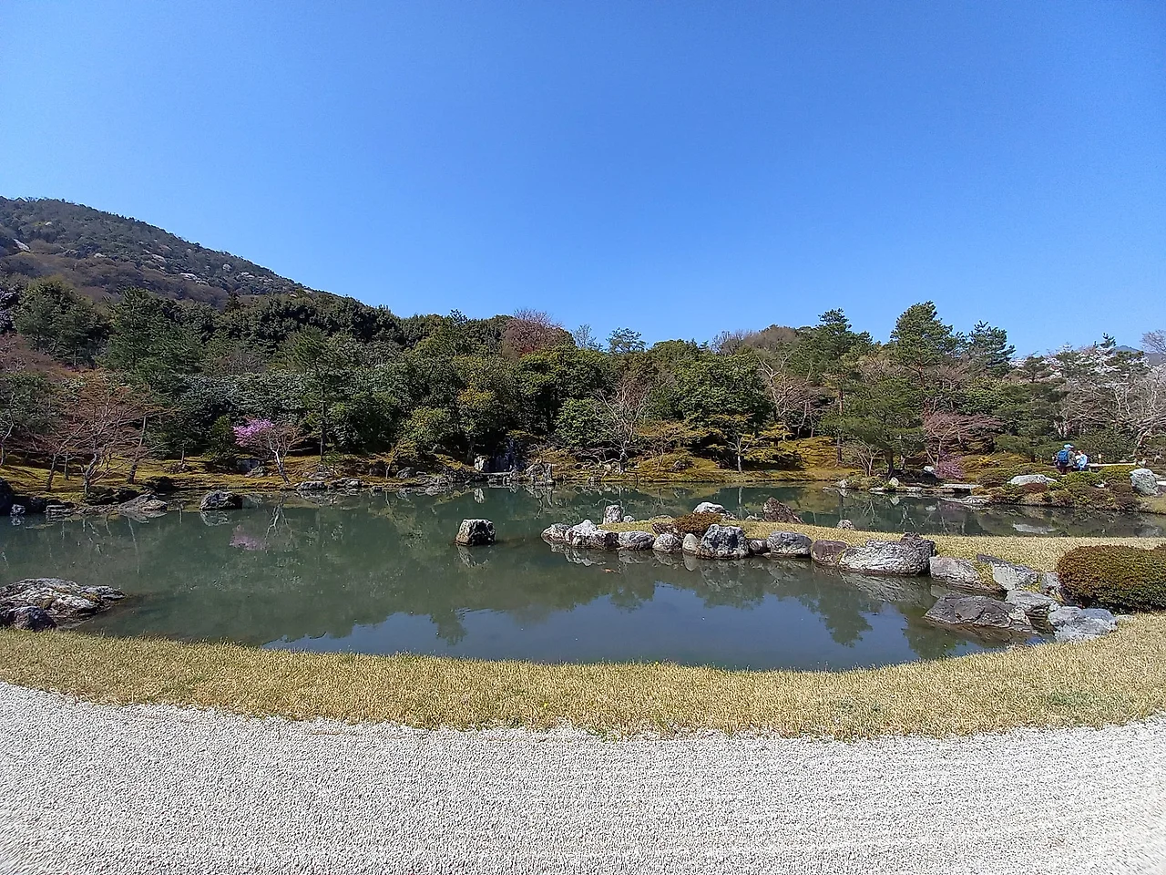 20230329_110129.jpg?type=w1600