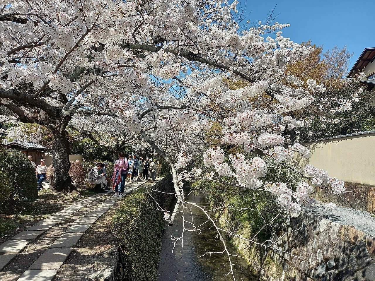 20230328_131056.jpg?type=w1600