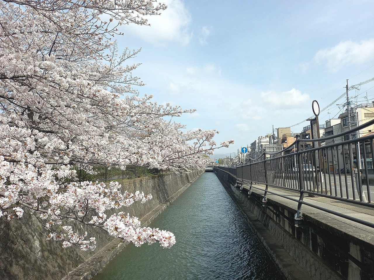 20230327_102619.jpg?type=w1600