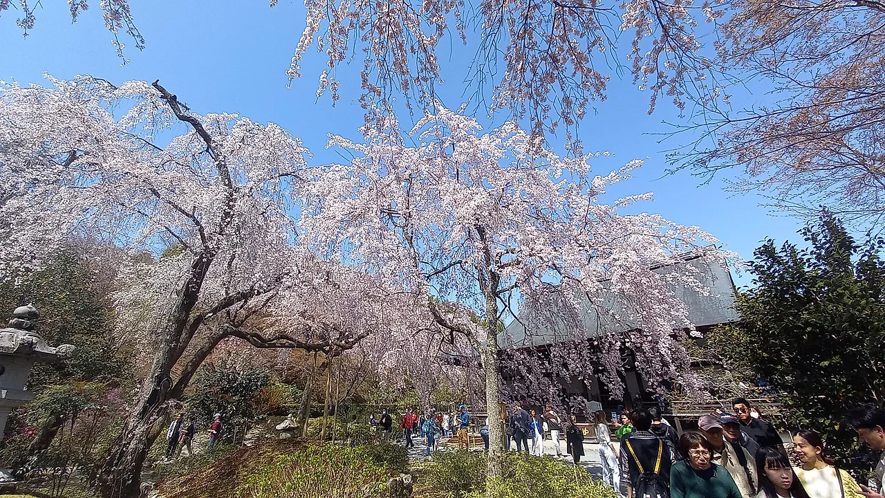 20230329_110556.jpg?type=w1600