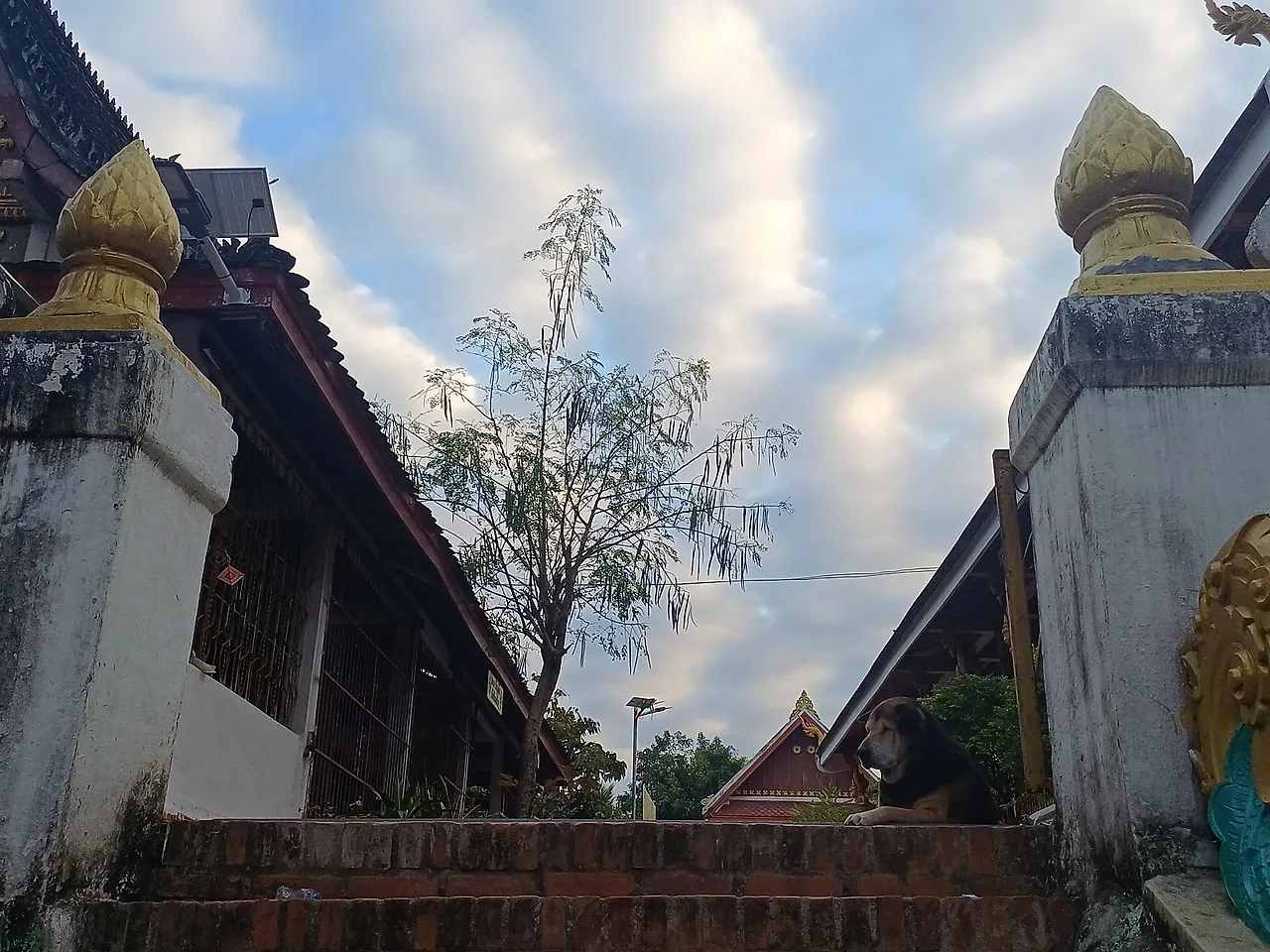 20241229_072106.jpg?type=w1600