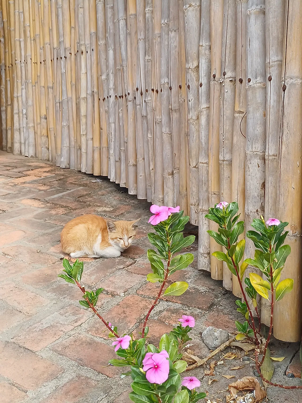 20241228_085336.jpg?type=w1600