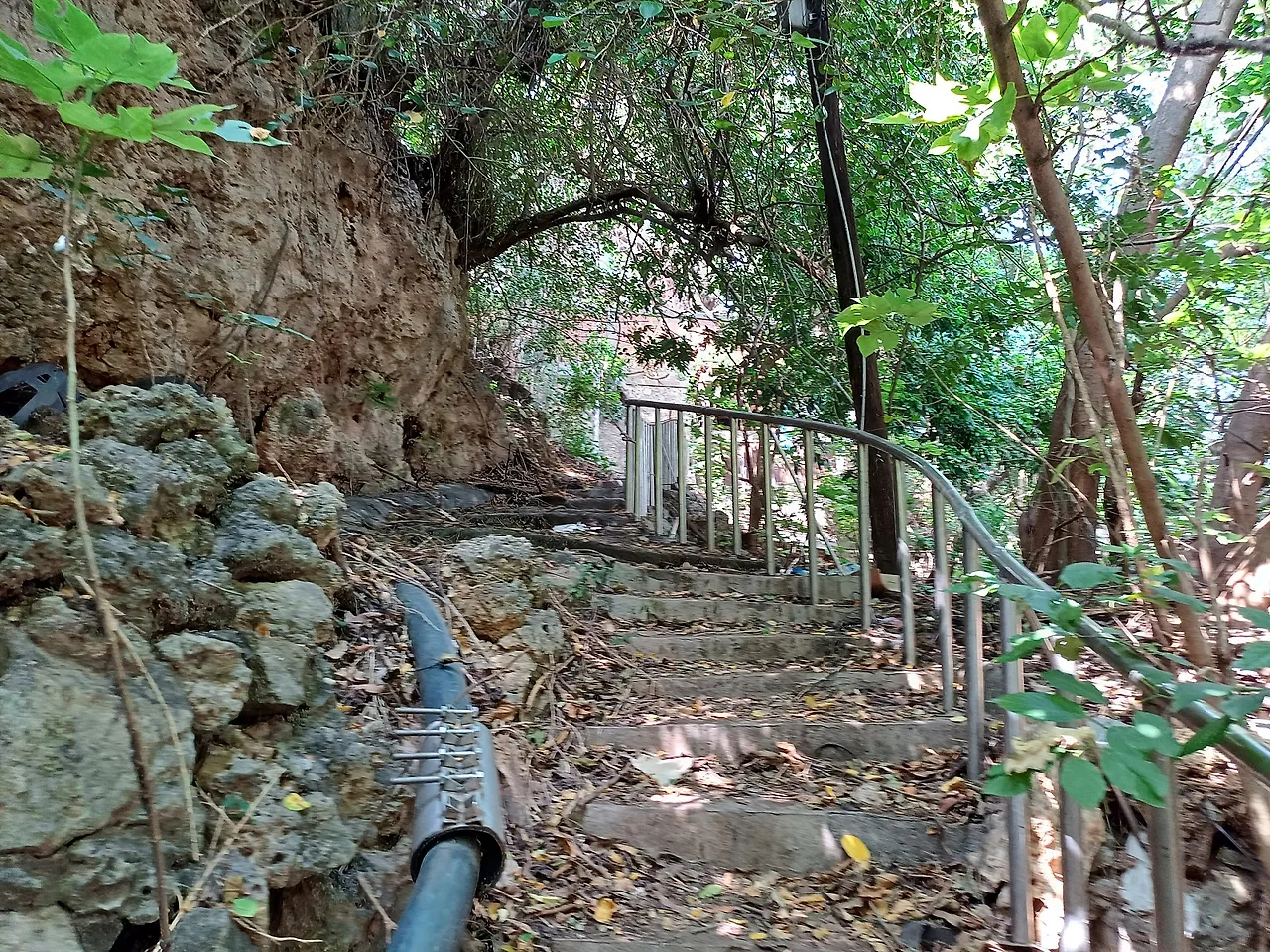 20231027_113236.jpg?type=w1600