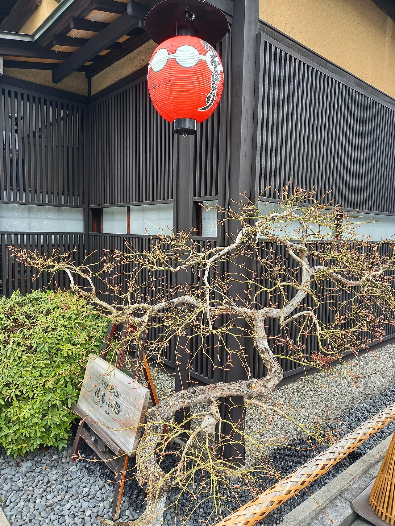 20230324_112450.jpg?type=w1600