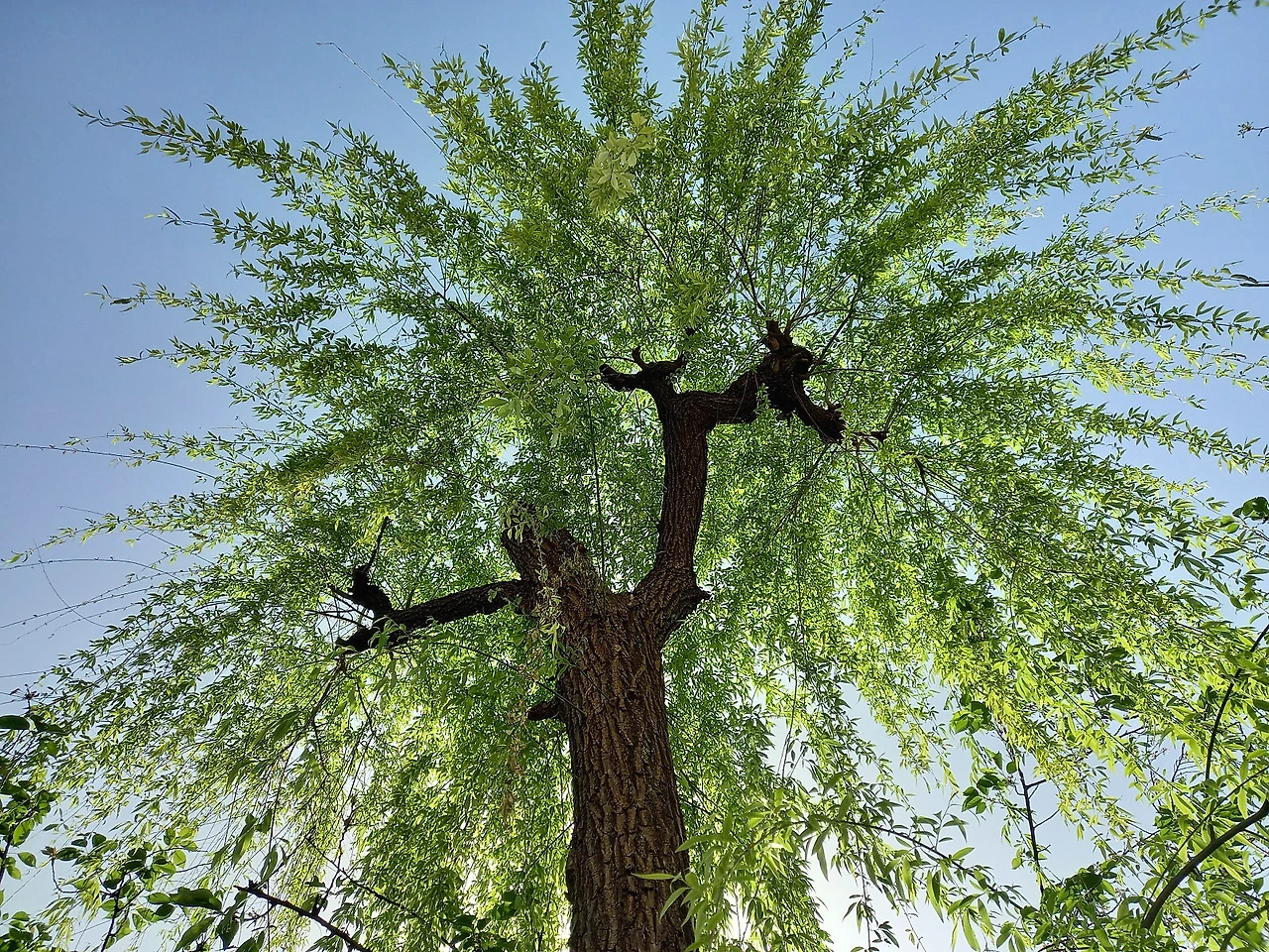 20230413_1527081.jpg?type=w1600