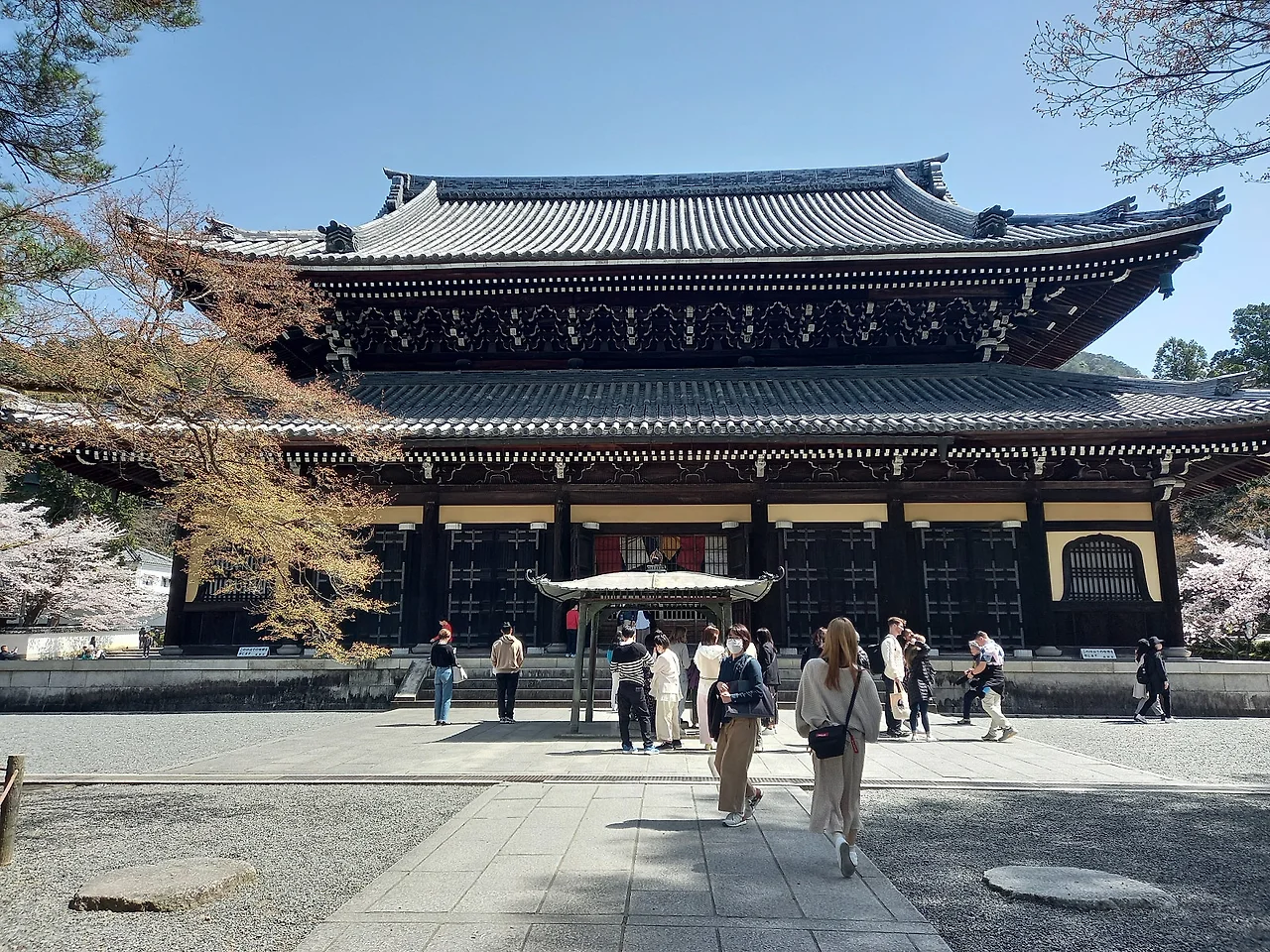 20230328_114853.jpg?type=w1600