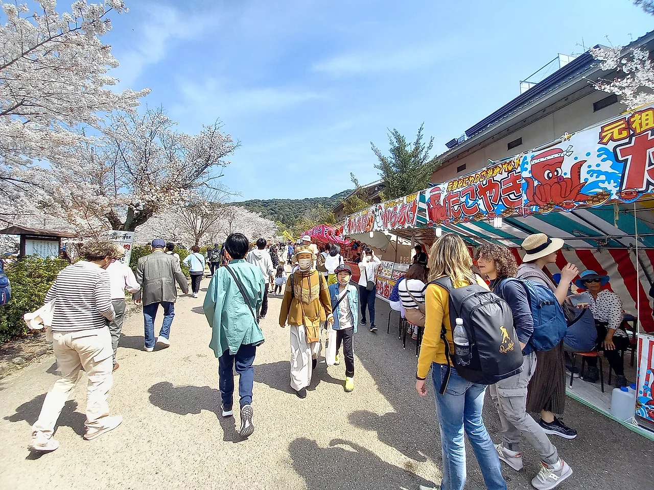 20230330_130529.jpg?type=w1600