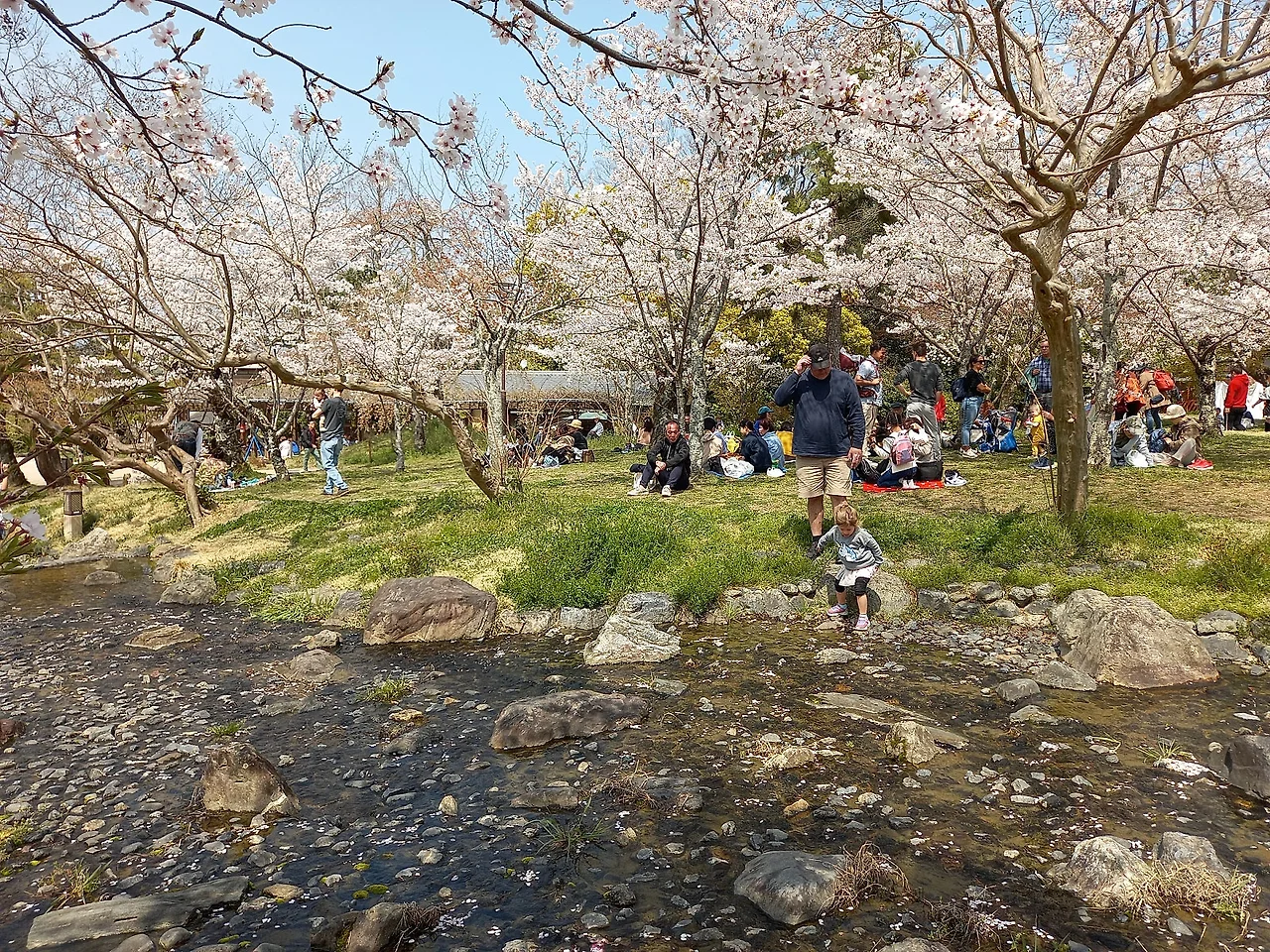 20230330_121306.jpg?type=w1600