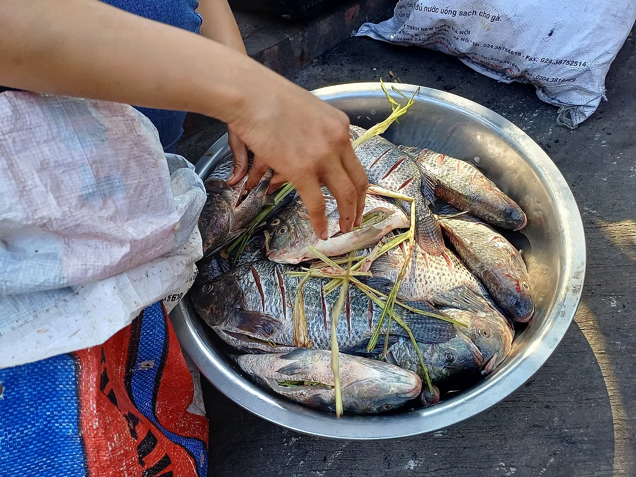 20241220_112801.jpg?type=w1600