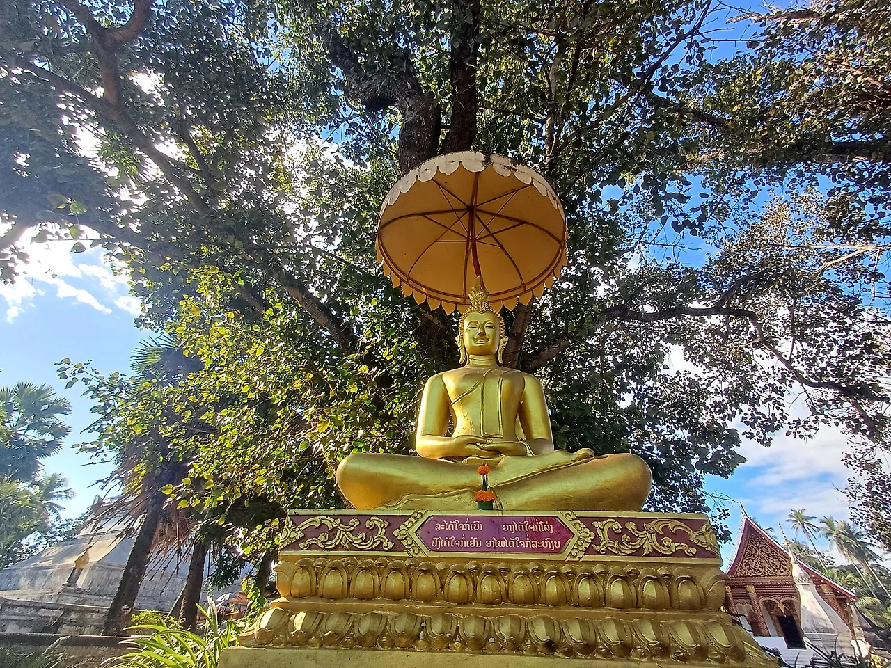 20241228_091045.jpg?type=w1600