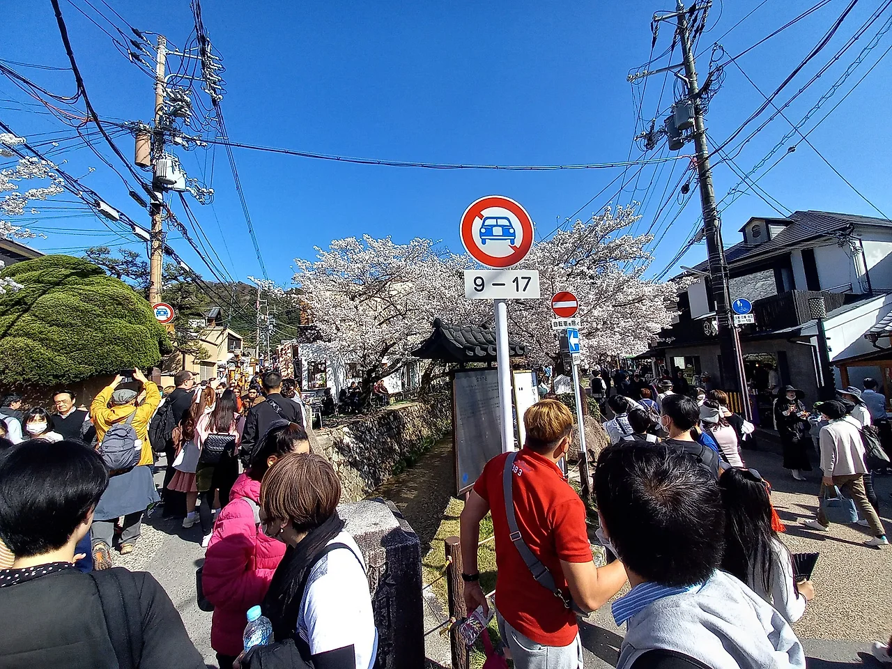 20230328_145608.jpg?type=w1600