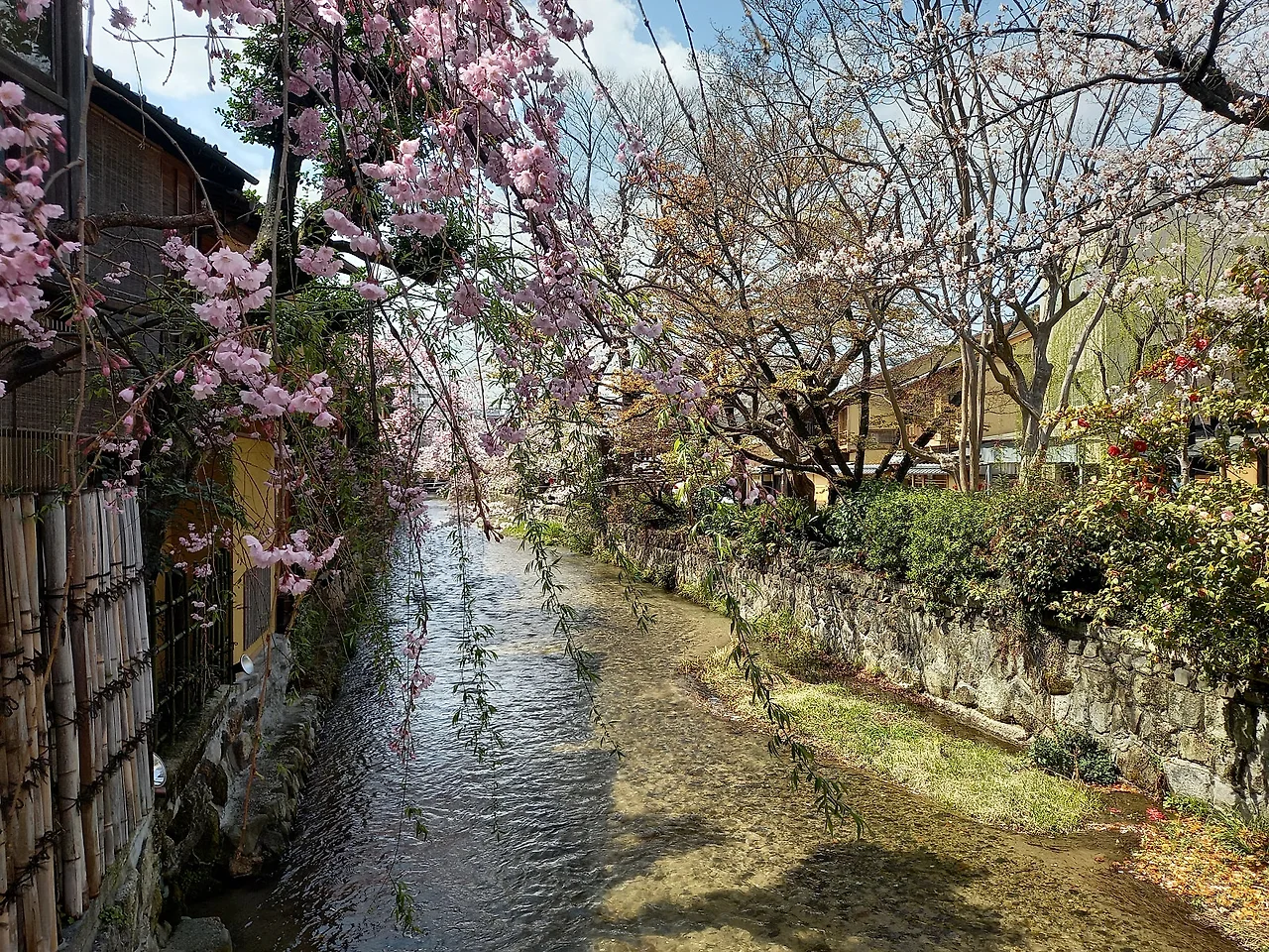 20230327_122256.jpg?type=w1600