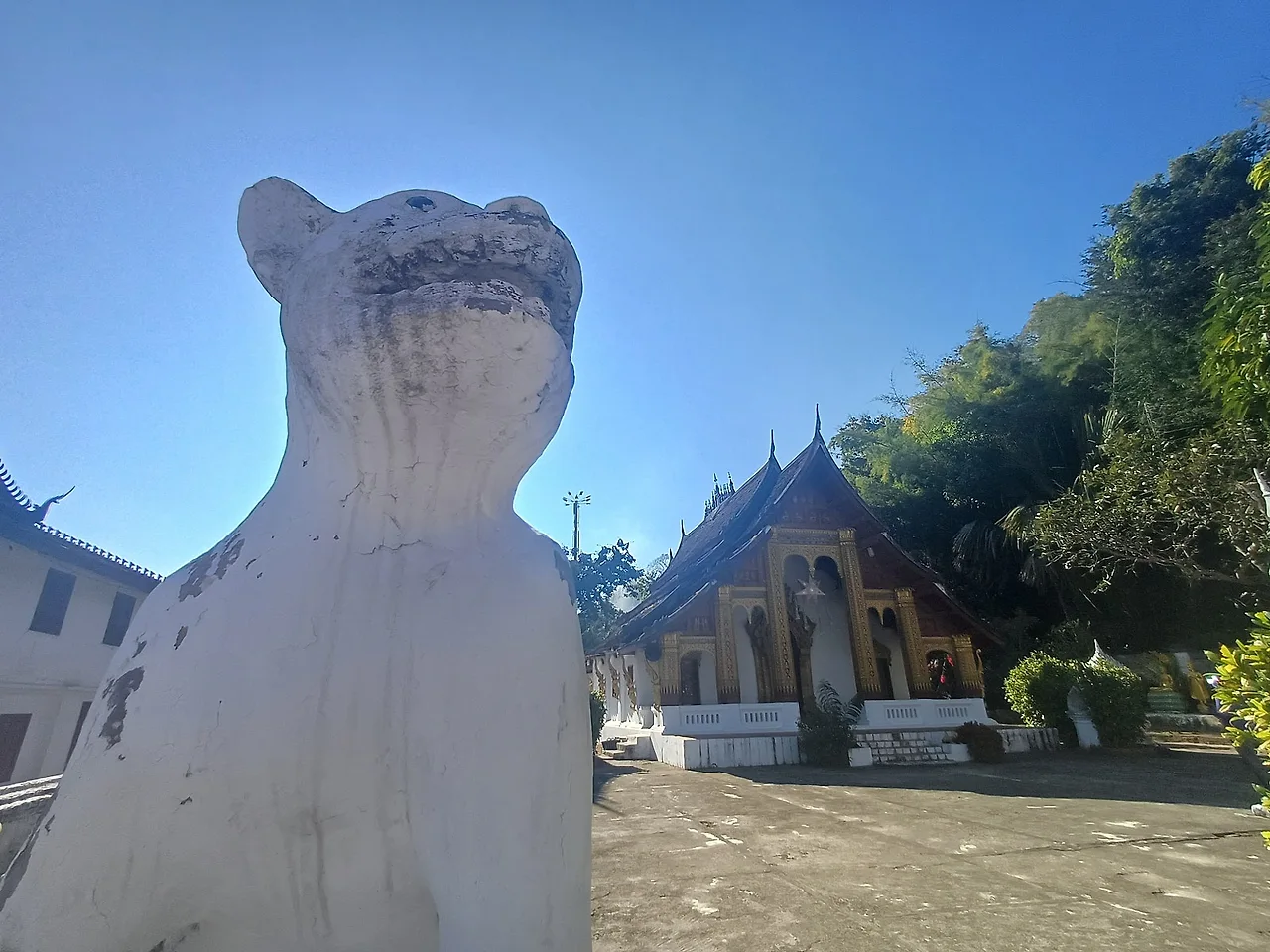 20241226_143945.jpg?type=w1600