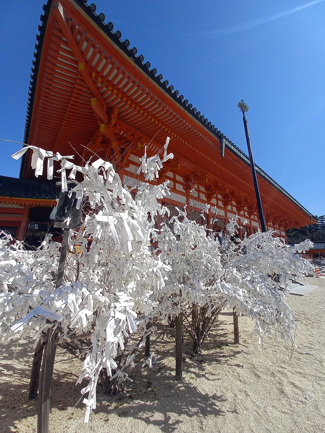 20230320_100606.jpg?type=w1600