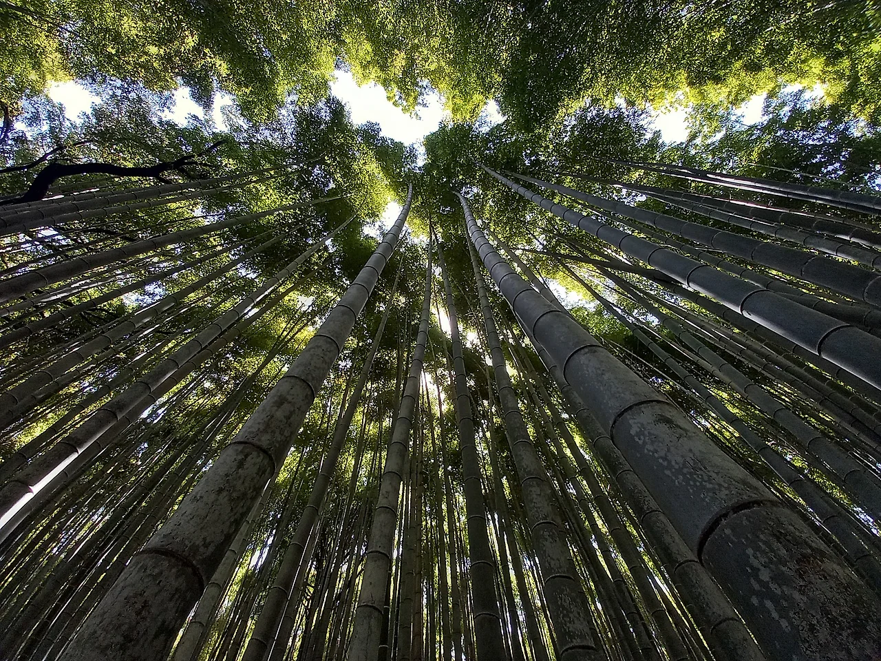 20230329_113304.jpg?type=w1600