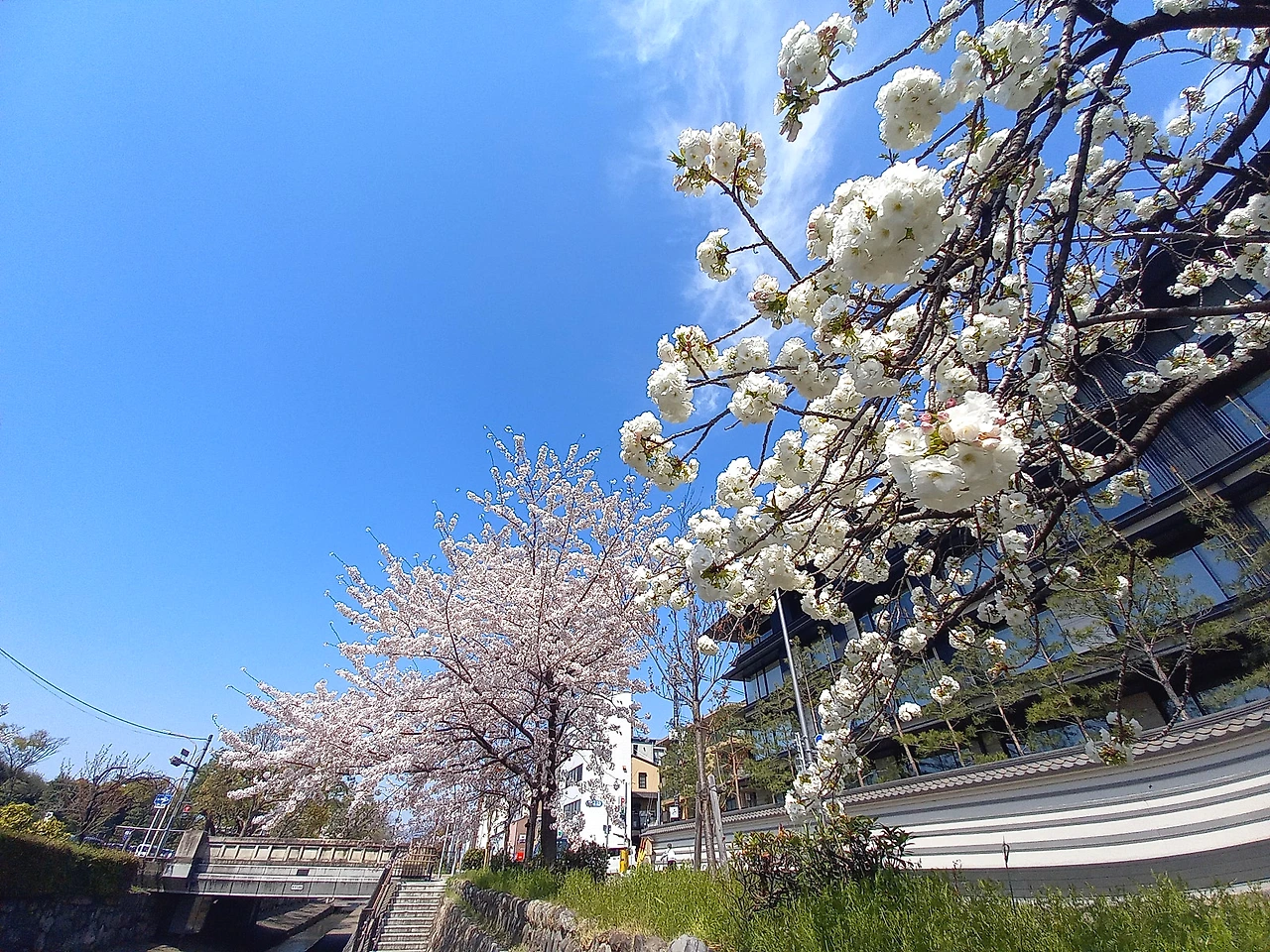 20230331_133149.jpg?type=w1600