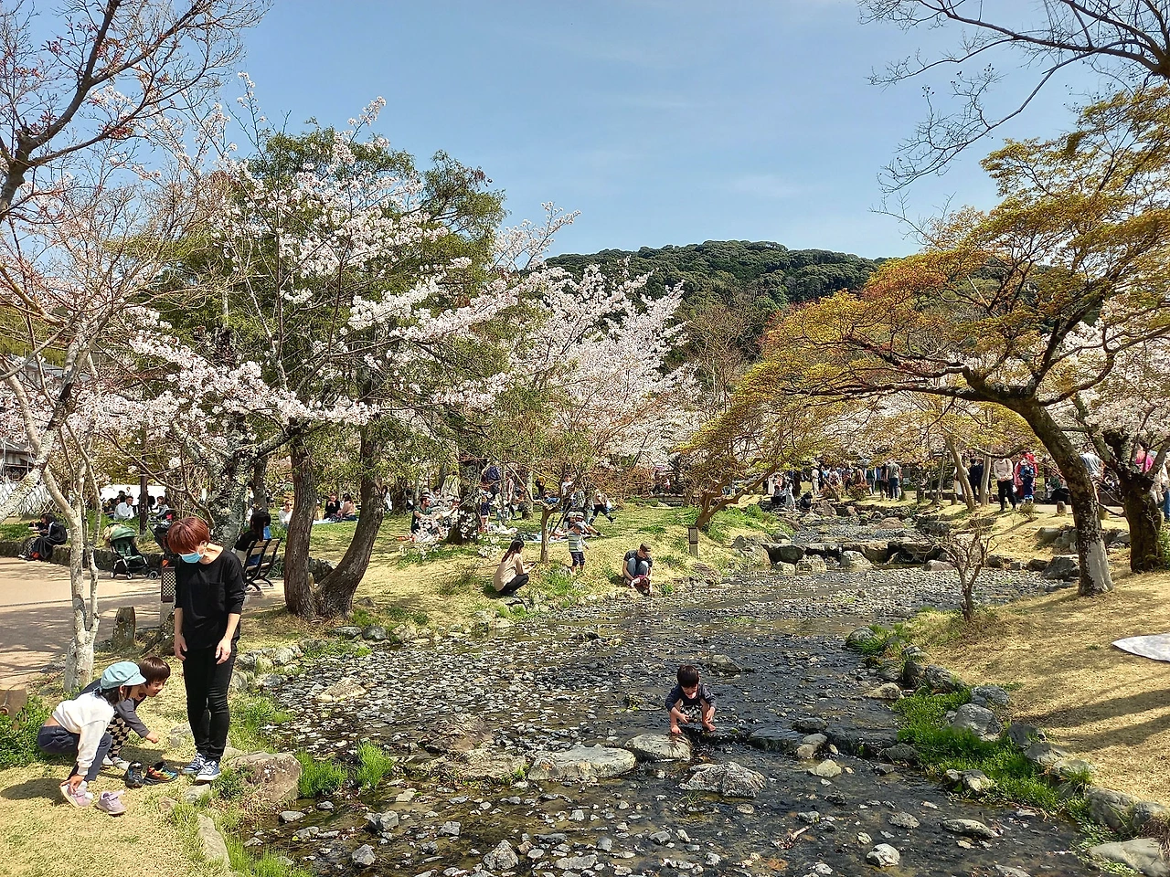 20230330_125921.jpg?type=w1600