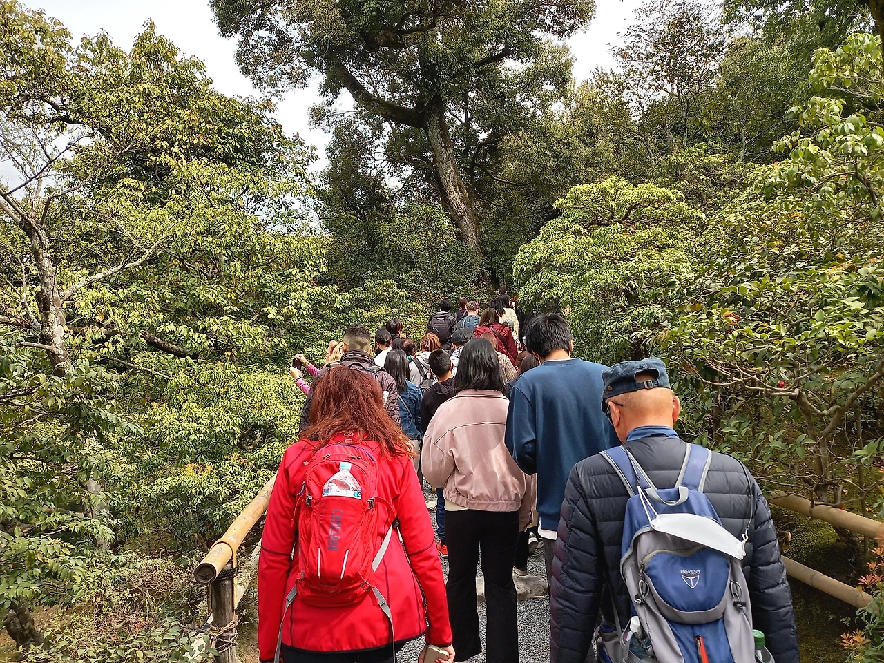 20230331_094734.jpg?type=w1600