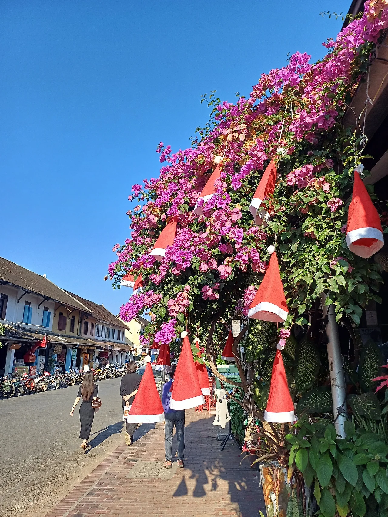 20241224_154151.jpg?type=w1600