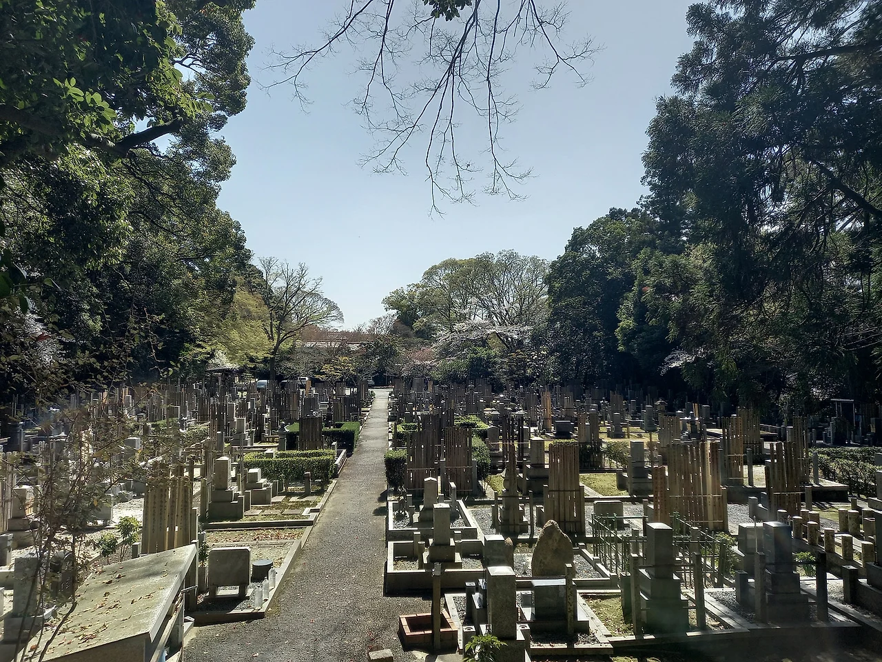 20230328_133910.jpg?type=w1600