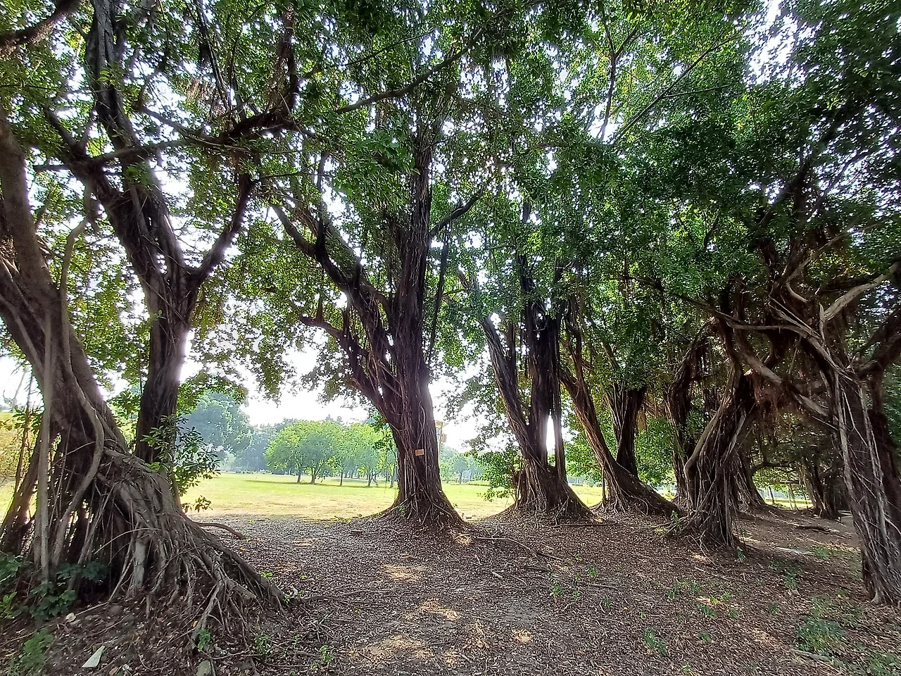 20231104_133621.jpg?type=w1600