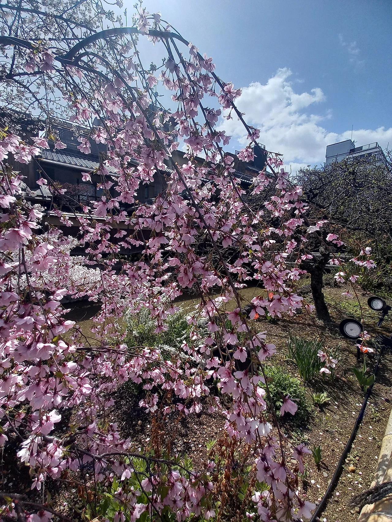 20230327_120905.jpg?type=w1600