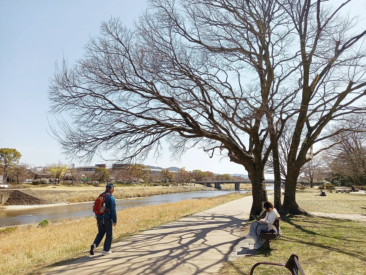 20230320_131055.jpg?type=w1600