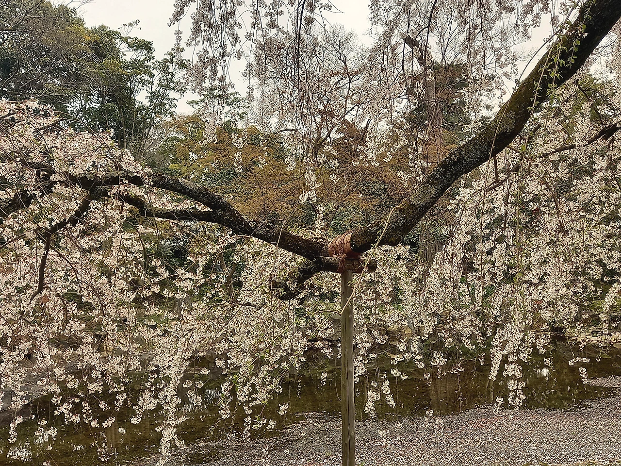 20230325_140928.jpg?type=w1600