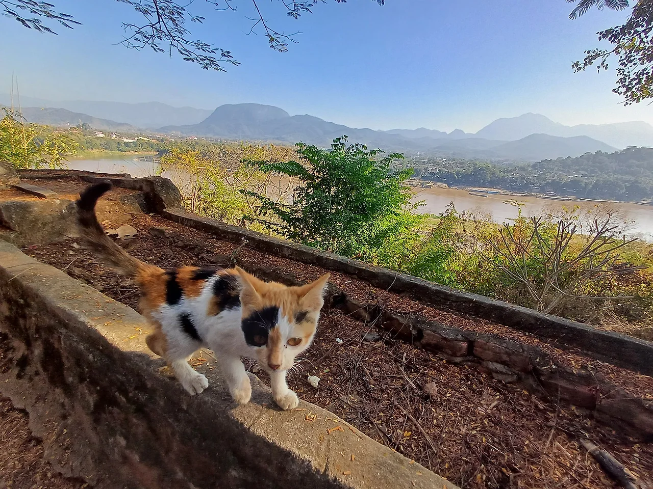 20241226_150721.jpg?type=w1600