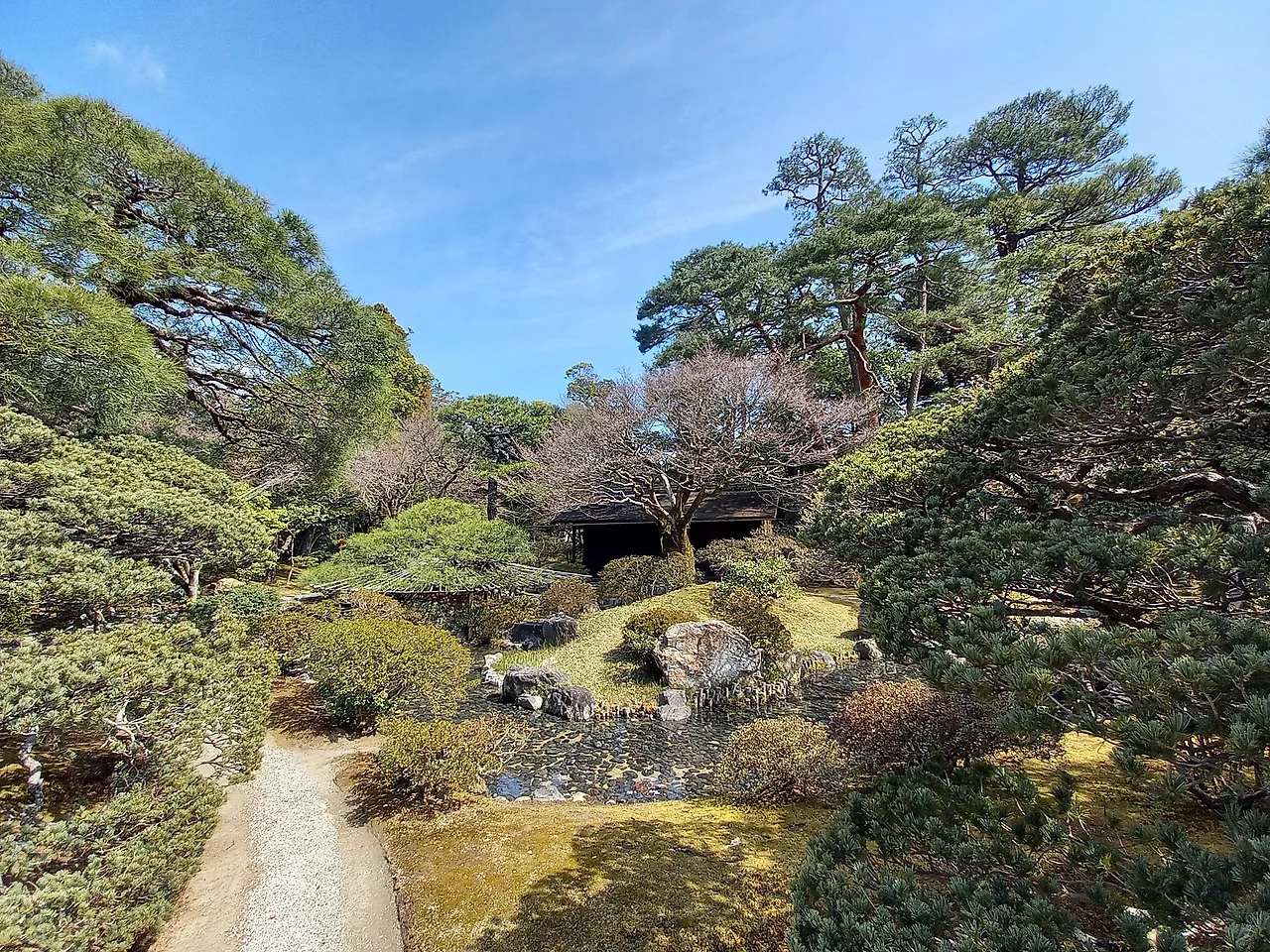 20230316_112707.jpg?type=w1600